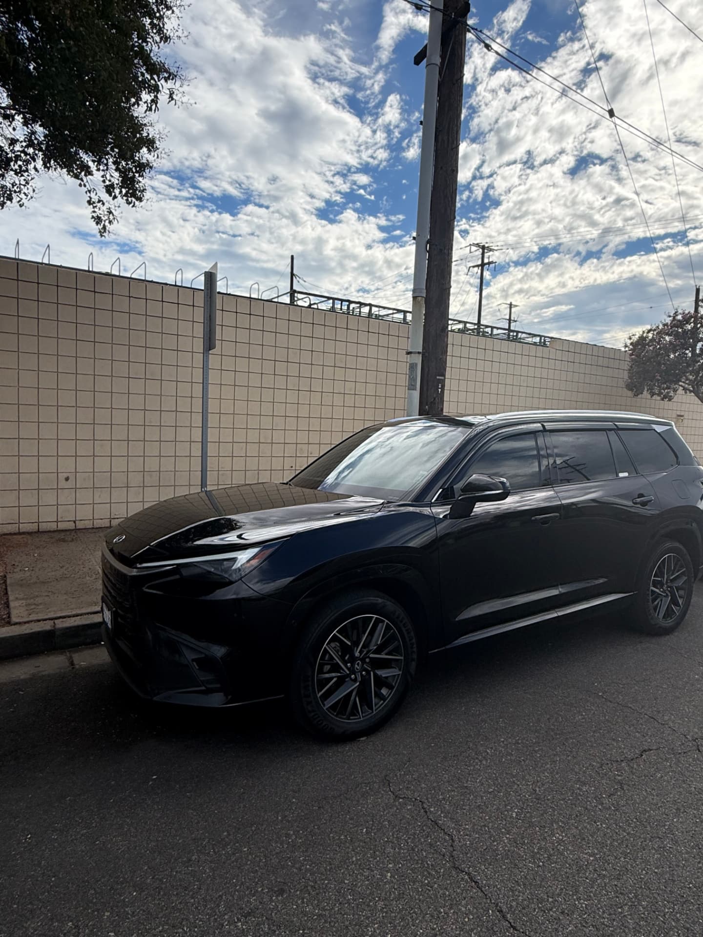 Black Lexus TX executive crossover for California airport transportation